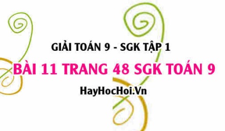 Giải bài 11 trang 48 SGK Toán 9 tập 1